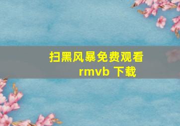 扫黑风暴免费观看 rmvb 下载